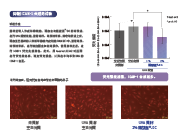薩馥嵐®-DC(图3) 薩馥嵐®-DC(图3)