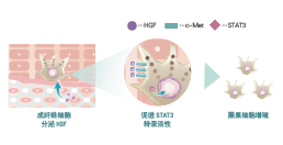 倍麗蘇®・F-QS(图1)