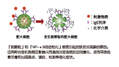 倍麗蘇®・F-QS(图2)