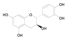 有机绿茶(图1) 有机绿茶(图1)