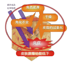 有机薏苡仁发酵液 (图1) 有机薏苡仁发酵液 (图1)