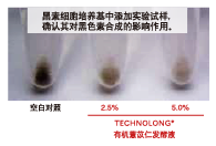 有机薏苡仁发酵液 (图2) 有机薏苡仁发酵液 (图2)