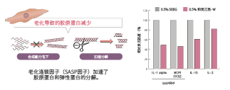 和美三美-W(图2) 和美三美-W(图2)