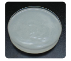DS-HydroCeramide N5(图1) DS-HydroCeramide N5(图1)