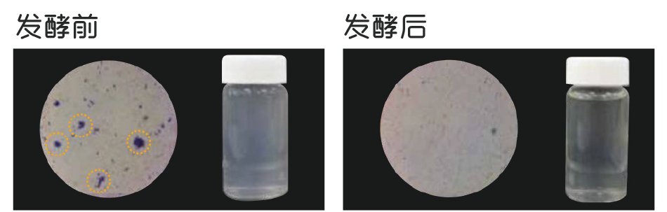 如风米淘淘(图1)